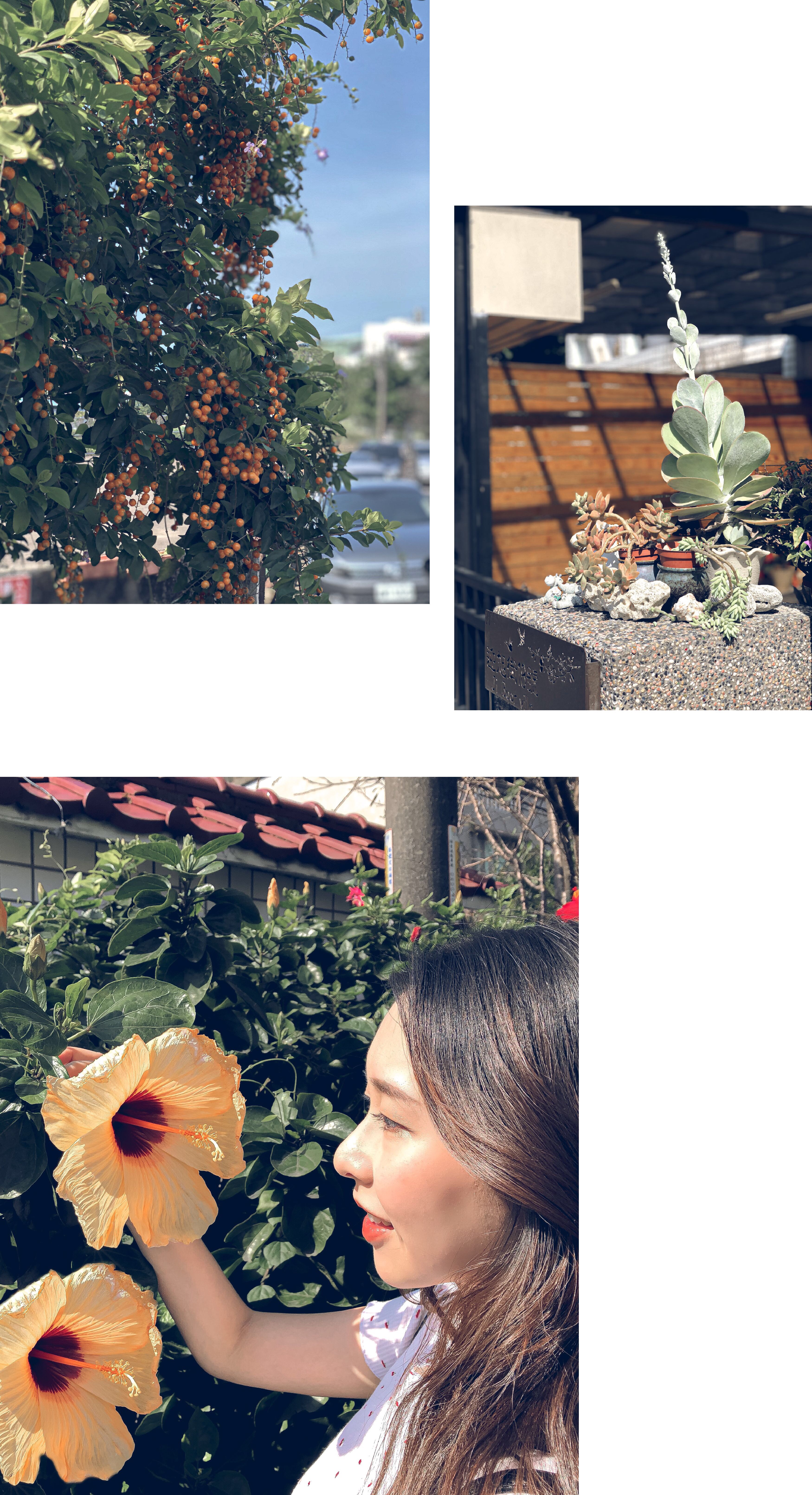 sansan小矮走跳日記- 三芝迎旭知旅民宿推薦 芝柏藝術村