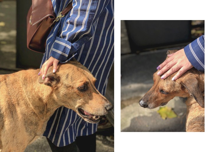 sansan小矮走跳日記- 三芝迎旭知旅民宿推薦