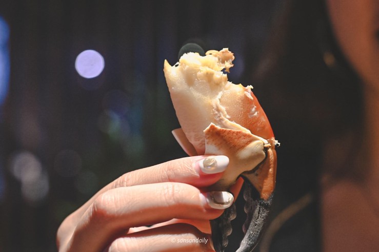 肥嫩扎實的麵包蟹蟹螯特寫