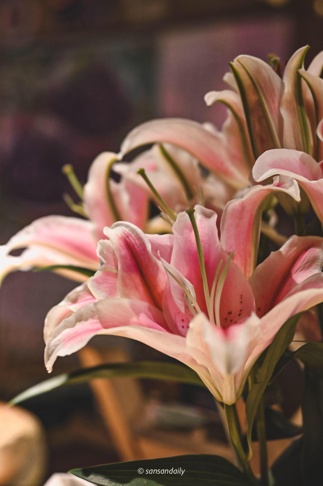 微風建一食堂吧台鮮花特寫
