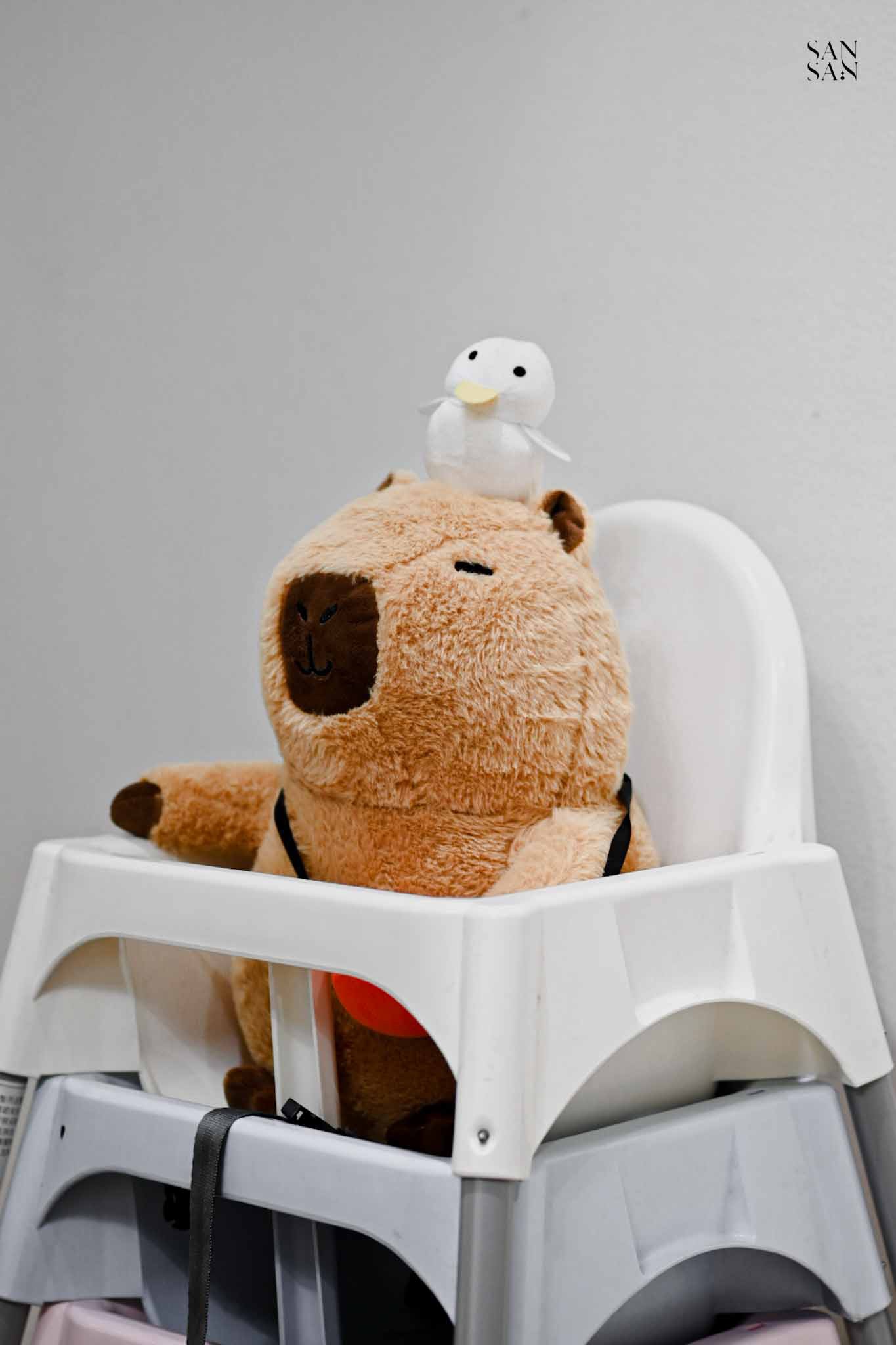 水豚娃娃擺在兒童座椅上特寫