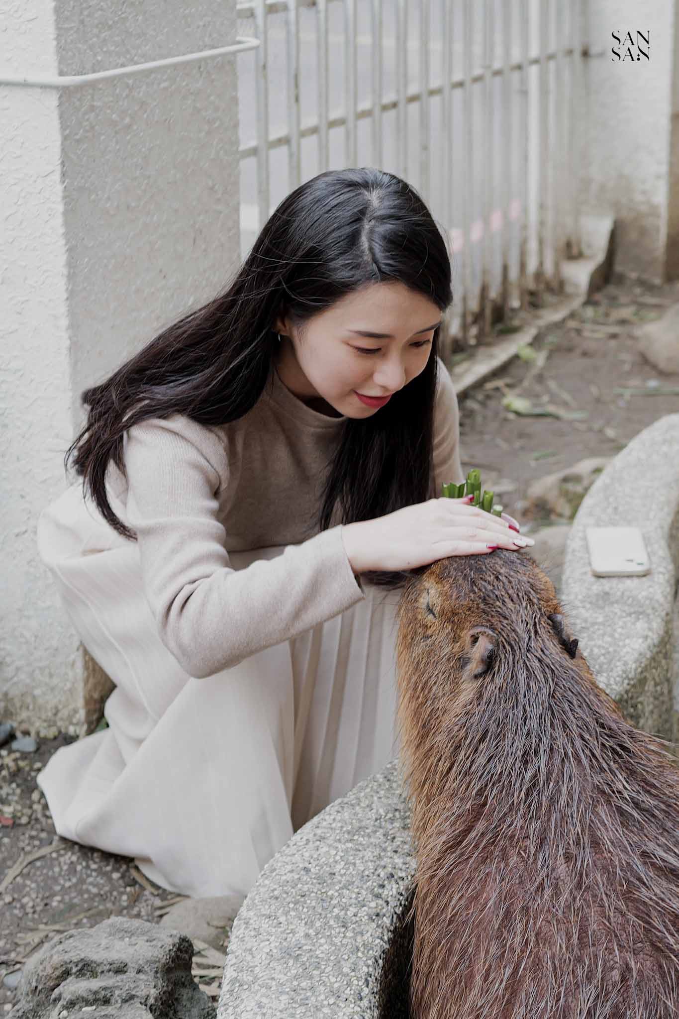 一個女人蹲著看向水豚 一手摸水豚的頭