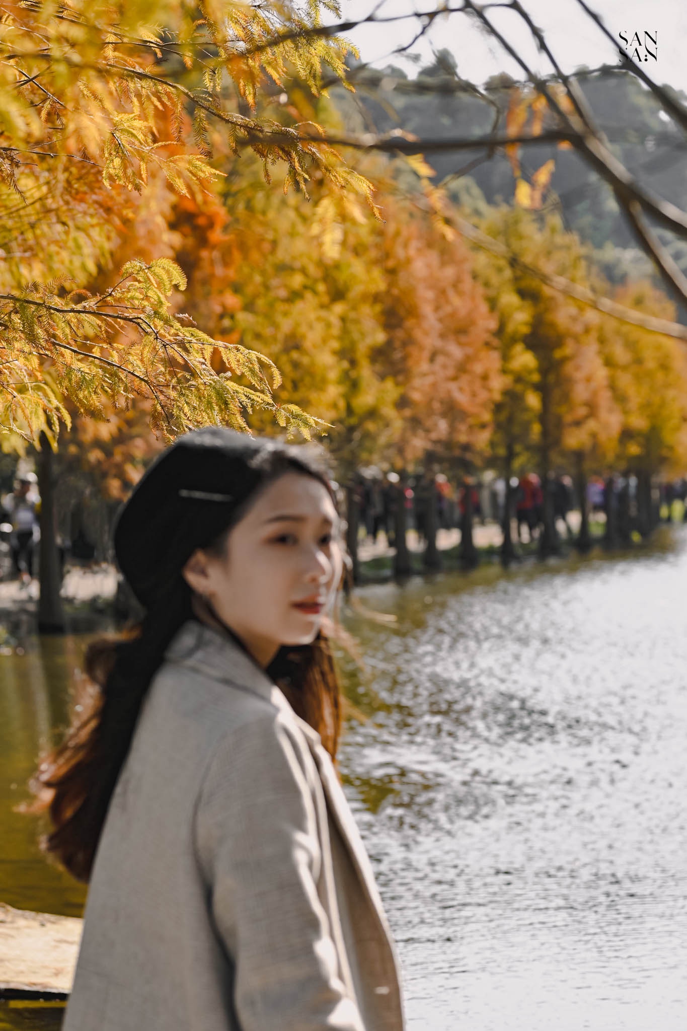 模糊的女人占在一整排落羽松前