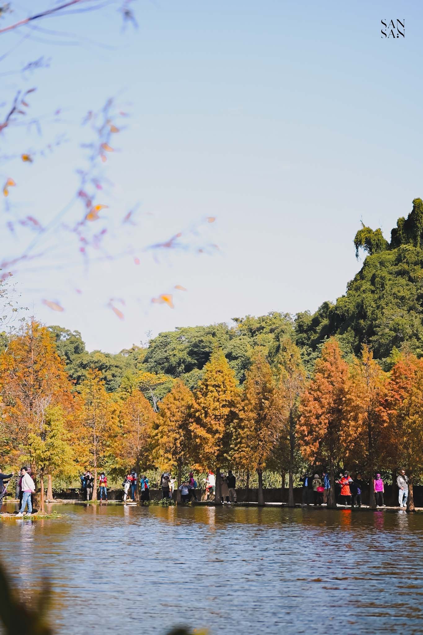月眉人工濕地 環湖風景